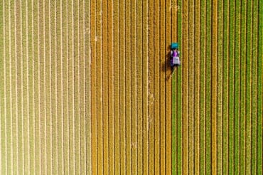 Báo cáo Tài chính hợp nhất giữa niên độ – Mẫu minh họa chuẩn IFRS 2025